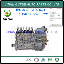 Injection Pump for JAC Yuejin Jmc Foton DFAC Jbc Forland Shifeng Parts